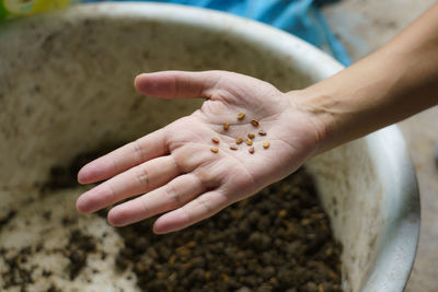 Close-up of hand holding food