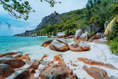 Rock formation on beach