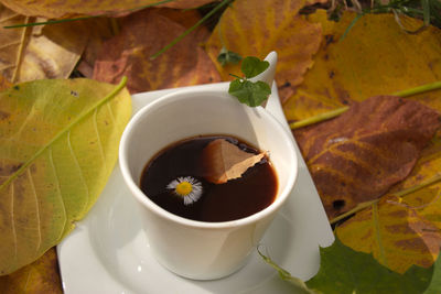 Close-up of tea cup and leaves on table