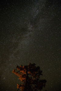 Low angle view of star field against star field