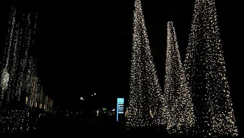 Low angle view of illuminated christmas tree at night