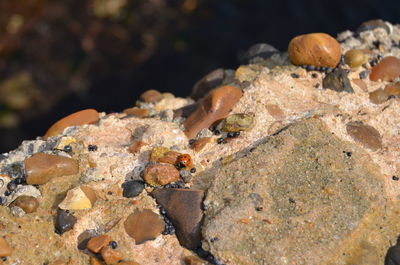 Close-up of rock