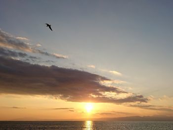 Low angle view of sea against sky during sunset