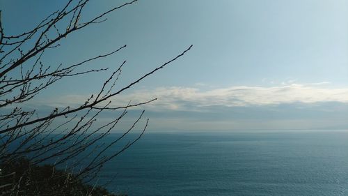 Scenic view of sea against blue sky