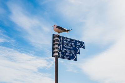 Low angle view of bird perching on pole against sky