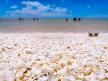 Close-up of pebbles on beach against sky