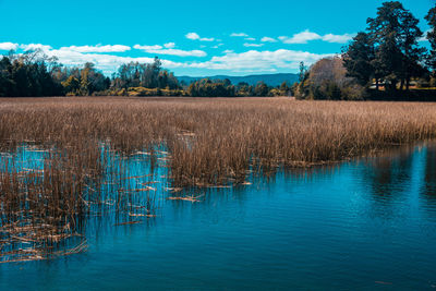 Scenic view of lake against sky