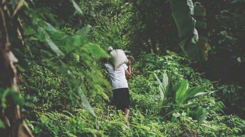 Rear view of child standing on land