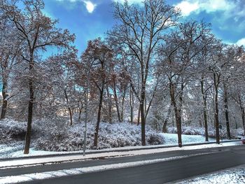 Bare trees by road against sky during winter