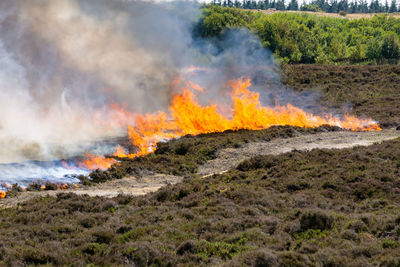 Fire consuming dry heather