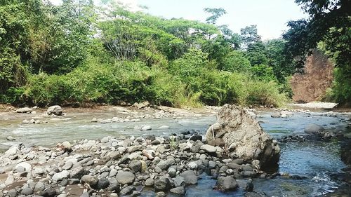 View of rocks in pond