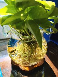 Close-up of tea on table