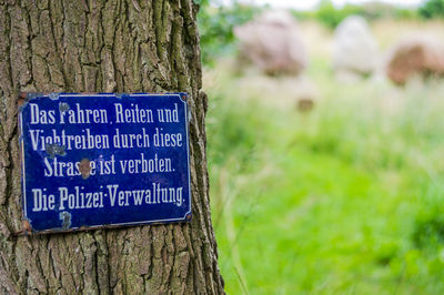 Close-up of information sign on tree trunk