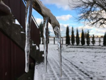 Close-up of snow hanging against sky