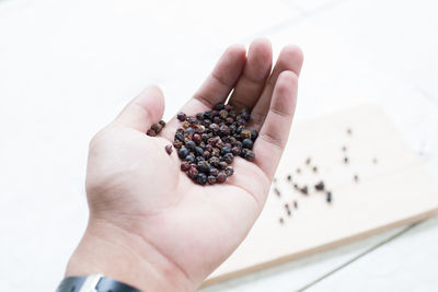 Midsection of person holding fruits