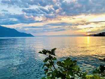 Scenic view of sea against sky during sunset