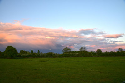 Scenic view of field against sky