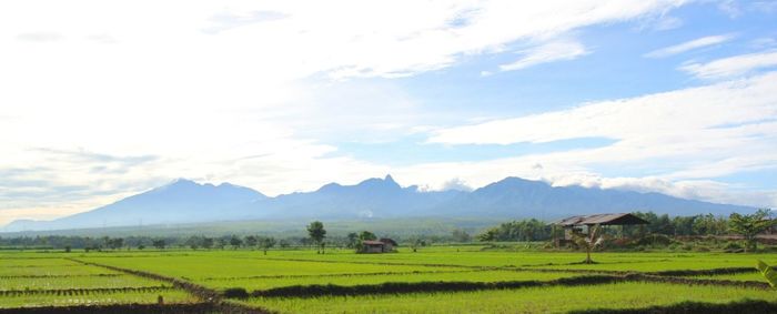 Scenic view of landscape against cloudy sky