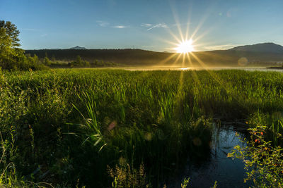 Scenic view of field against sky during sunset