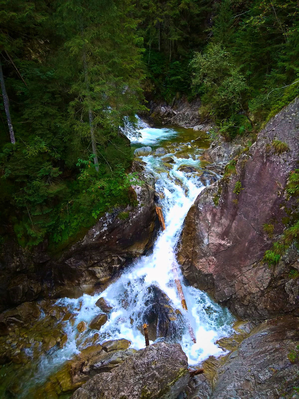 SCENIC VIEW OF STREAM FLOWING THROUGH ROCKS IN FOREST