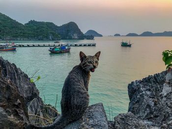 Scenic view of sea and rocks