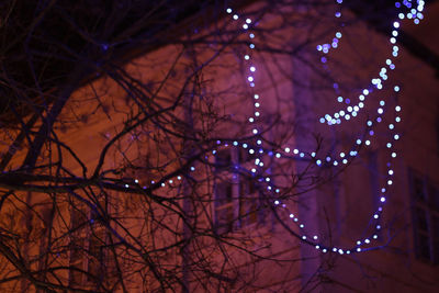 Low angle view of illuminated bare trees at night