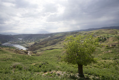 Scenic view of landscape against sky