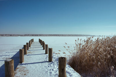 Wooden posts on beach against clear sky