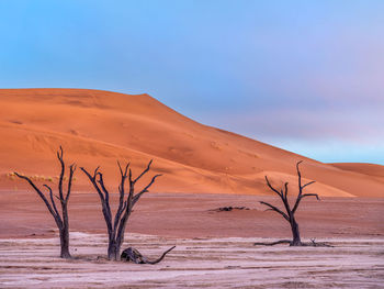 Scenic view of desert against clear sky