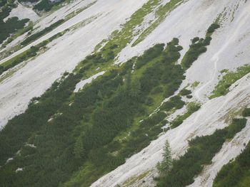 High angle view of road amidst landscape