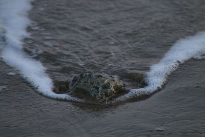 View of a small wave sea