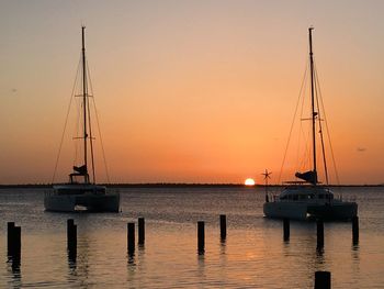 Sailboats in marina at sunset