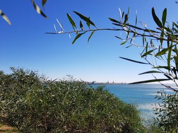 Scenic view of sea against clear blue sky