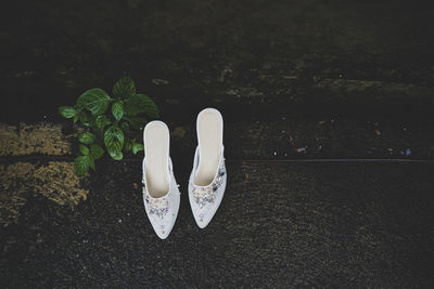 High angle view of shoes on plant