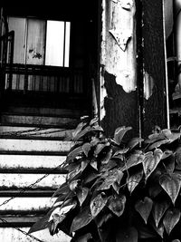 Close-up of abandoned window