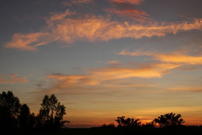 Low angle view of silhouette trees against dramatic sky