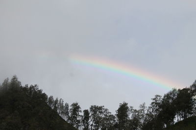 Scenic view of rainbow against sky