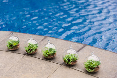 High angle view of vegetables on table