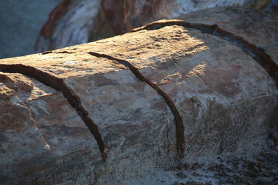 Close-up of rusty metal on wood