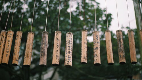 Close-up of clothes hanging on wood