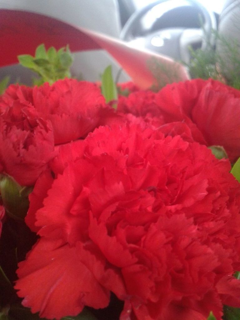 flower, petal, freshness, flower head, fragility, red, beauty in nature, close-up, growth, nature, blooming, plant, indoors, pink color, in bloom, focus on foreground, no people, blossom, pollen, selective focus