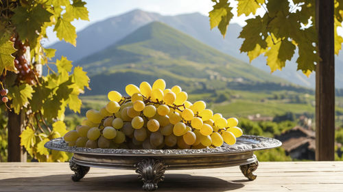 Still life with fresh and large white grapes on antique silver plate on wooden table. close-up.