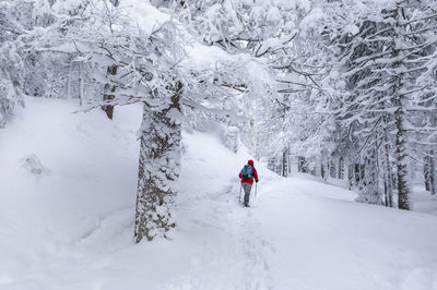 Rear view of man skiing on snow covered field