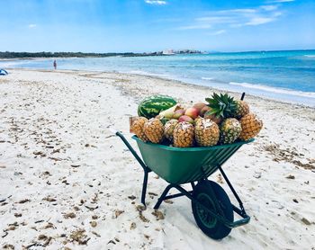 View of fruits on beach against sky