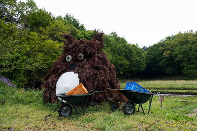 Horse cart on field against trees