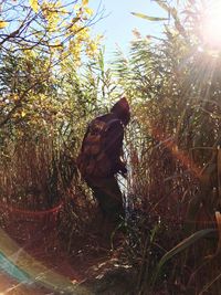 Side view of man standing by tree against bright sun