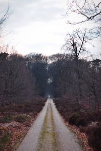 Road amidst bare trees against sky