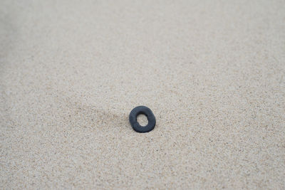 Close-up of circular object on sand at beach
