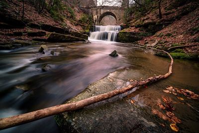 View of waterfall along trees