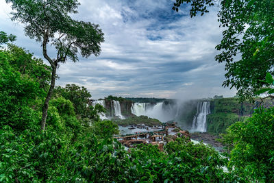 Scenic view of waterfall in forest